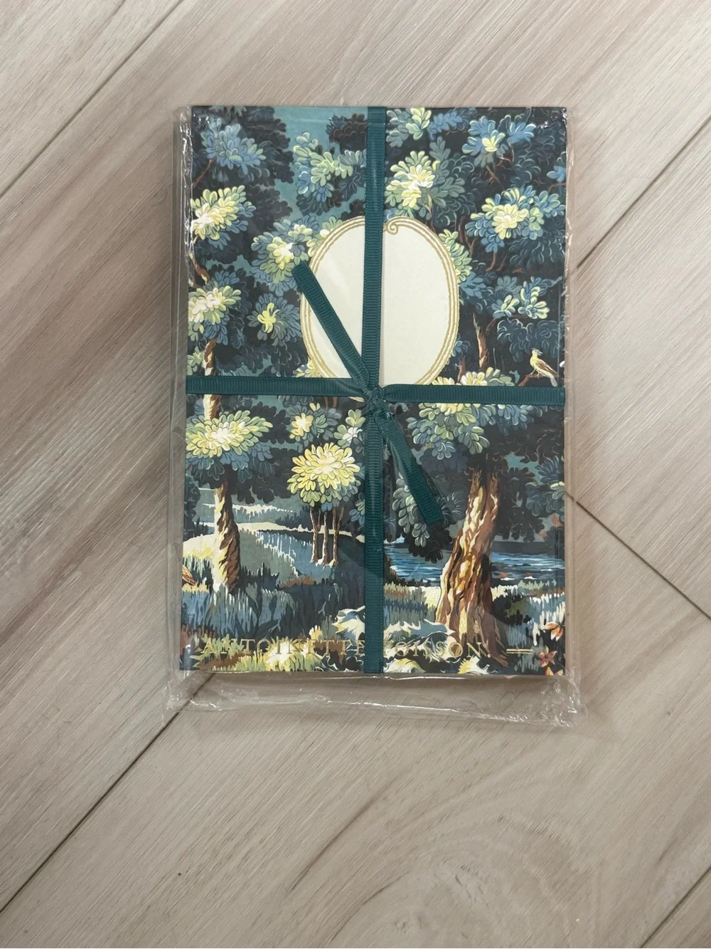 NWT Antoinette Poisson Joli Bois French Domino Paper Notebook Made in France